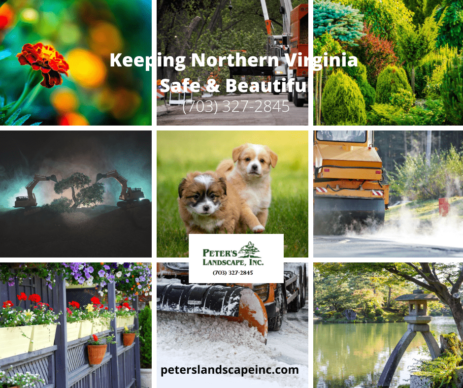 Peter's Landscape Inc. Best tree removal Northern Virginia's Top