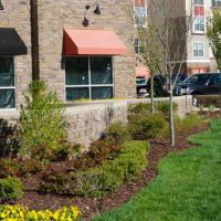 Header_0001_Commercial-Landscaping1