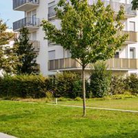 Header_0007_Ashburn-Commercial-Landscaping