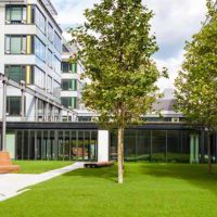 Header_0008_Reston-Commercial-Landscaping