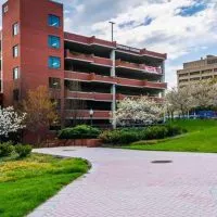 Header_0006_Vienna-Commercial-Landscaping