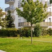 Header_0007_Ashburn-Commercial-Landscaping